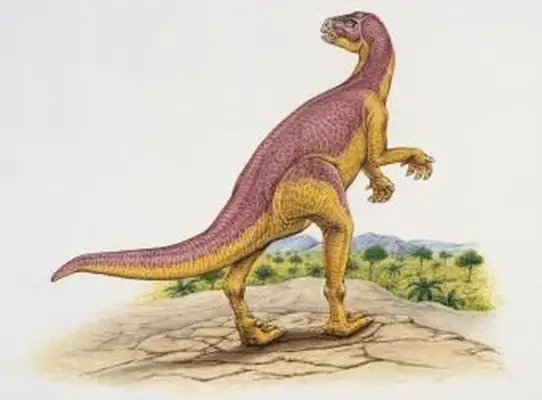 숲의 Xiaosaurus