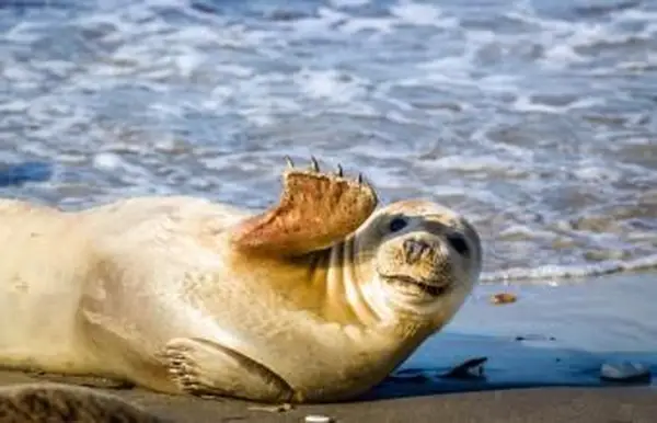 Volcán de niña haciendo