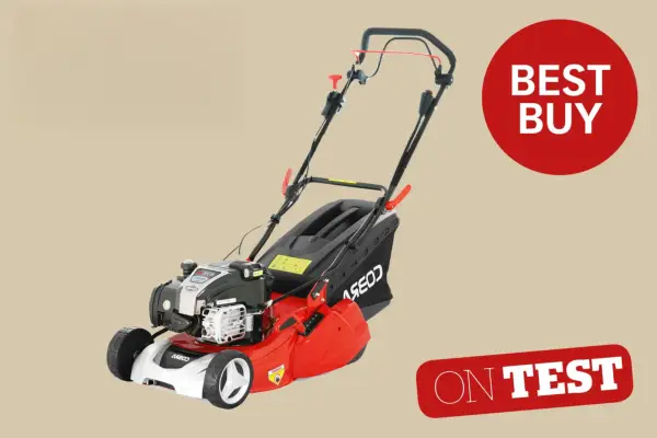 Recensione di tosaerba di benzina Cobra RM433SPBI