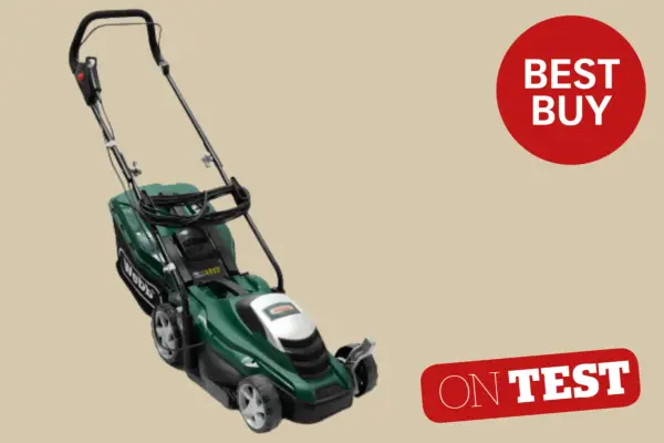 Webb WEER33 Electric Lawn Mower - Verdantvows