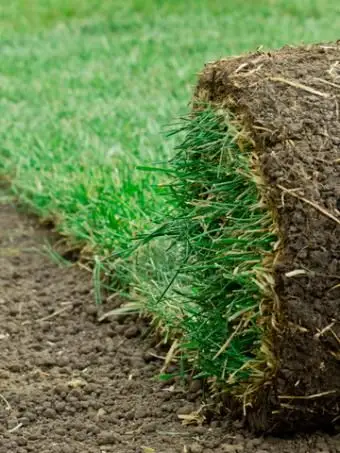 So verwenden Sie einen Rasenschneider C