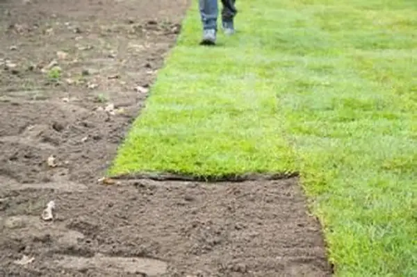 Gramado parcialmente colocado