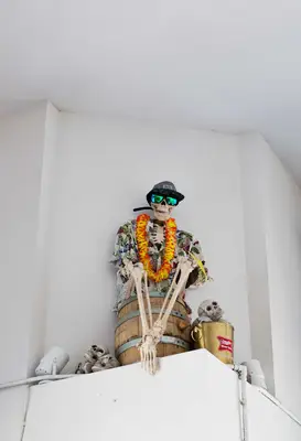 News from The Golden Girl Rum Club