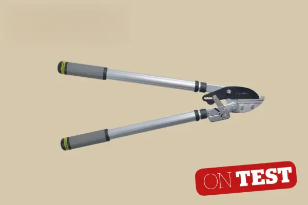 Burgon & Ball RHS-endorsed Telescopic Ratchet Lopper - Verdantvows