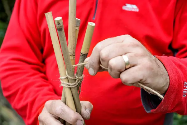 Making a wigwam for climbing plants.