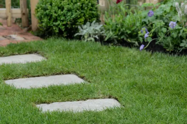 Make your path into a feature