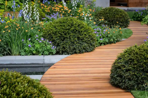 Decking path with yew topiary balls