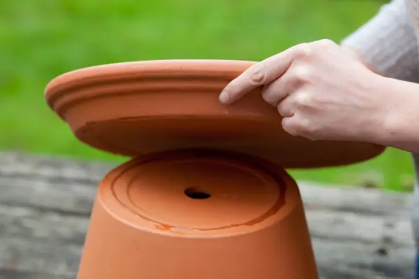 Making a bird bath