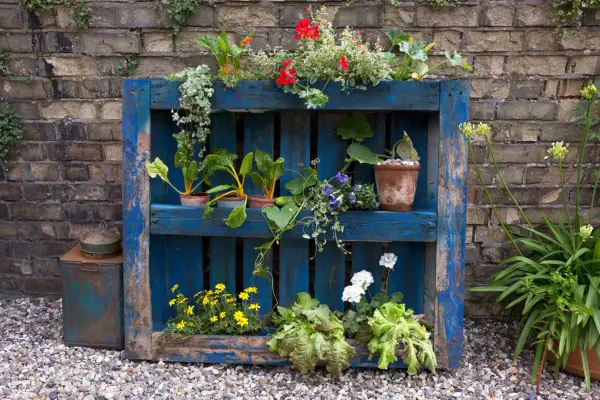Transform pallets into plant displays