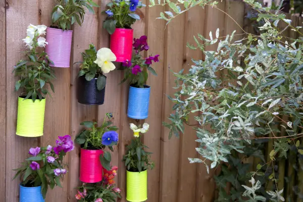 Tin can planters. Sarah Cuttle