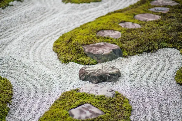 Moss in a zen garden. Getty Images