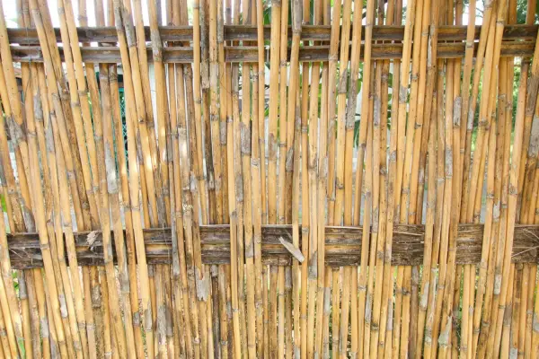 Bamboo screen. Getty Images