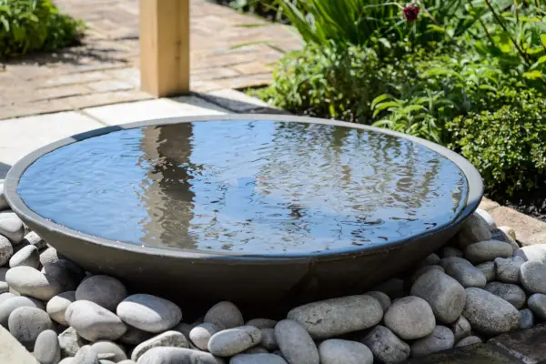 Water feature. Jason Ingram