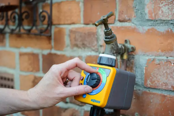 Using a timer to restrict water use in the garden. Jason Ingram