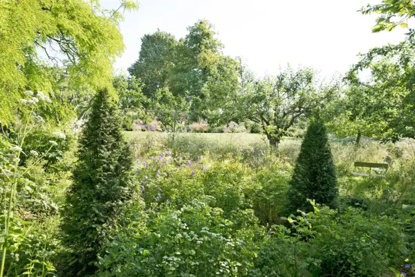 Topiary trees framing a border. Sarah Cuttle
