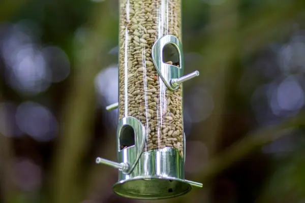 Types of bird food - sunflower seed