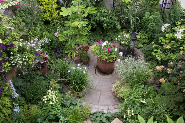 Old patio dressed with plants for a lush, modern feel. Sarah Cuttle