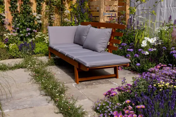 Mexican fleabane planted among patio slabs for a fresh, modern look. Paul Debois