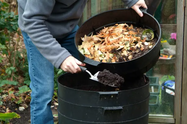 Gardener using wormery to make home-made worm castings. Tim Sandall