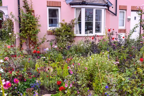 Cottage garden flower bed. Jason Ingram