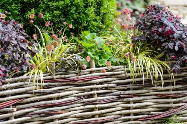 Woven willow edging. Jason Ingram