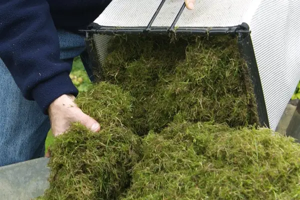 Compost lawn clippings to create a wildlife habitat