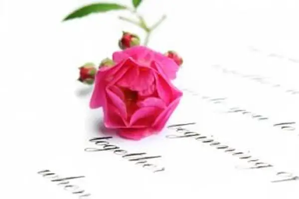 Róża leżąca na romantycznym wierszu oświadczeń