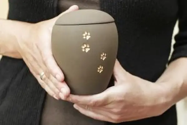 כדים של בעלי חיים