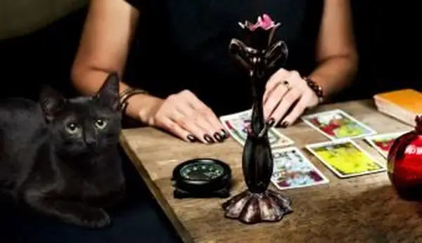 점쟁이는 검은 고양이가 근처에 앉아 타로 카드를 펼칩니다.