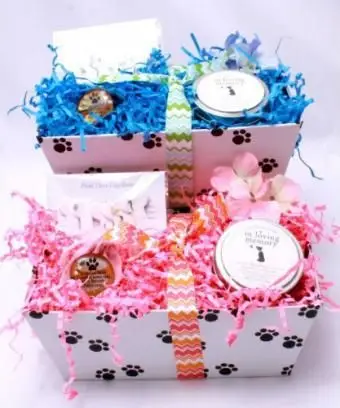 女性または男性の犬の共感バスケットの喪失