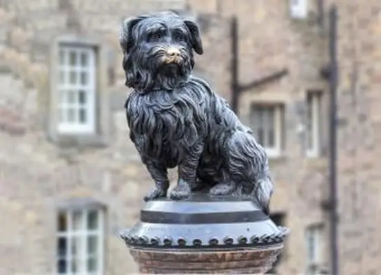 Wiersze o śmierci psa