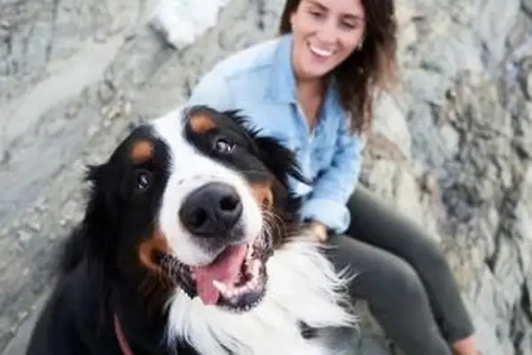 Perro de montaña de Bernese feliz con dueño