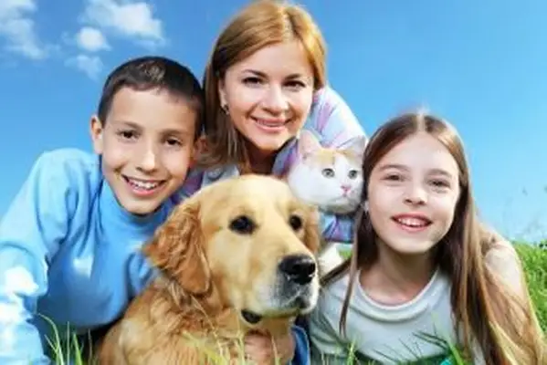 Pohodlné básne pre majiteľa smútiaceho miláčika