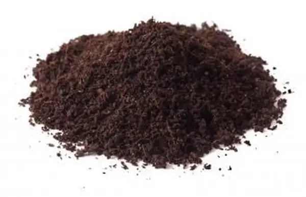 내 정원용 버섯 퇴비는 어디에서 구입할 수 있습니까?