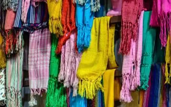 メキシコシティに展示されているメキシコのレボソ