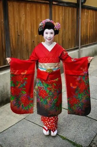 https://cf.ltkcdn.net/costumes/images/slide/167323-565x850-Japanese-woman-in-kimono.webp