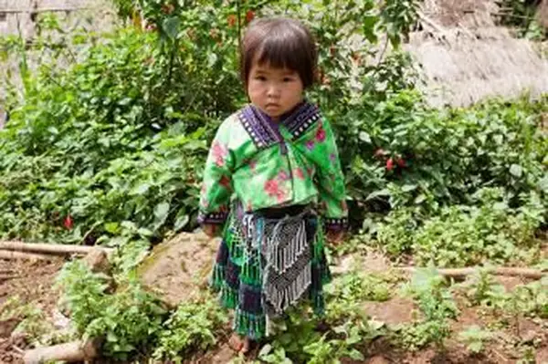 https://cf.ltkcdn.net/costumes/images/slide/167347-850x565-Asia-meo-hmong-girl.webp