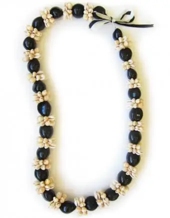 ククイナッツとシェルレイ