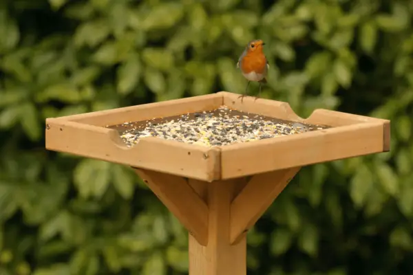 RSPB Open Bird Table – Verdantvows