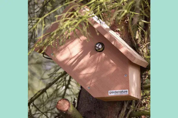 Gardenature Side View Bird Box Camera – Verdantvows