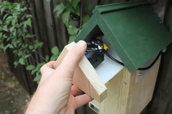 RSPB Wired Nest Box Camera – Verdantvows