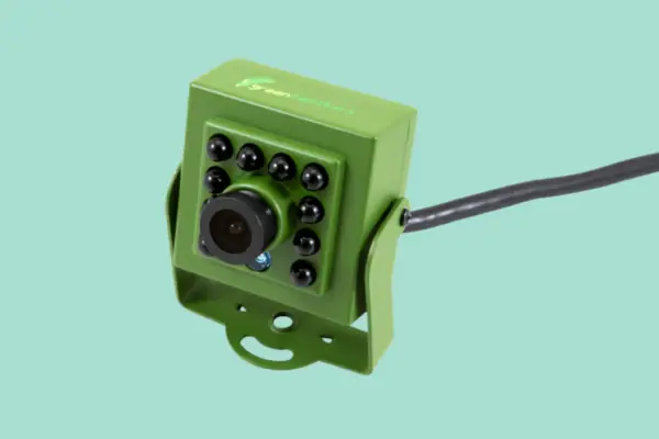 Green Feathers Wired Bird Box 2MP Camera with Audio – Verdantvows
