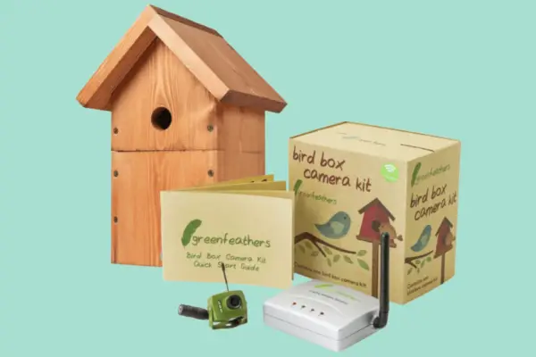 Green Feathers Complete DIY Timber Bird Nest Box with Wireless SD 700TVL Video Camera Kit -Verdantvows