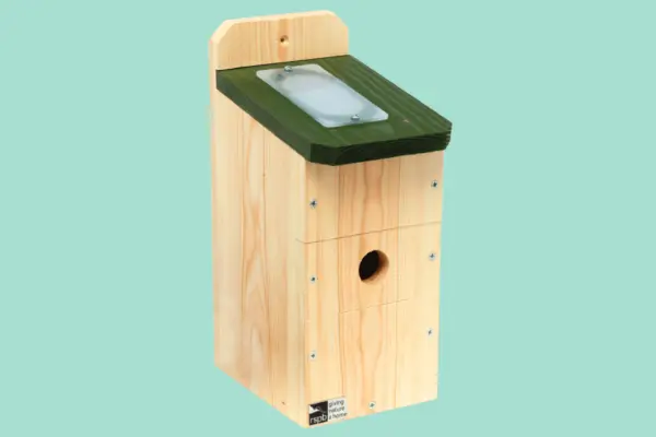 RSPB WiFi Camera Nest Box System - Updated - Verdantvows