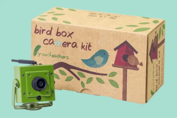 Nouă dintre cele mai bune camere pentru cutii de păsări în 2023