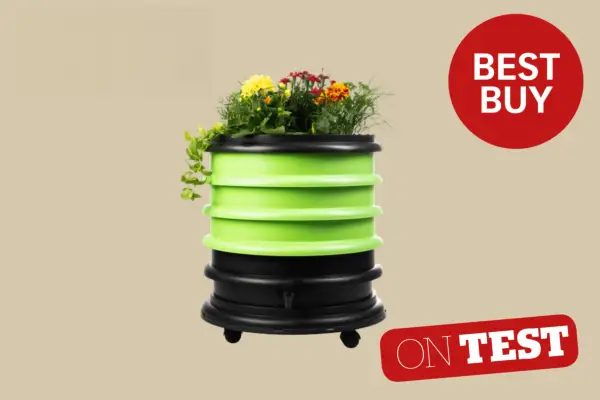 De bedste ormer i 2024