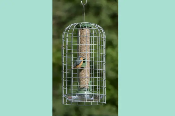 RSPB Ultimate Easy-clean Seed Feeder and Guardian – Verdantvows