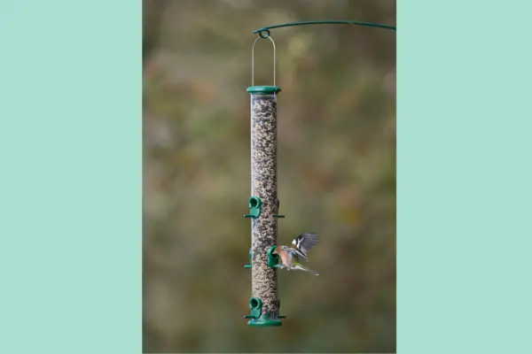Ring-Pull Large Bird Feeder – Verdantvows