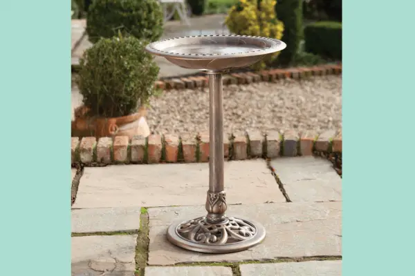 10 dos melhores banhos de pássaros para 2023