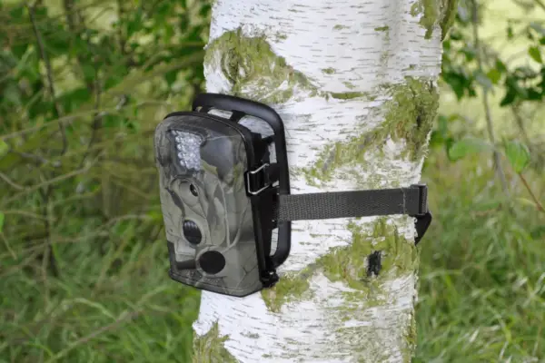 LTL Acorn Scouting Wildlife Camera – Verdantvows